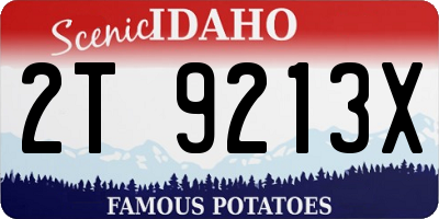 ID license plate 2T9213X