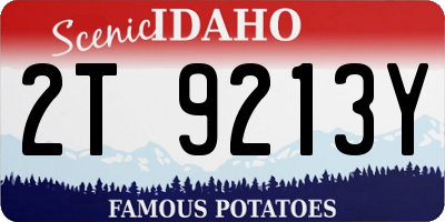 ID license plate 2T9213Y