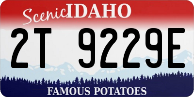 ID license plate 2T9229E