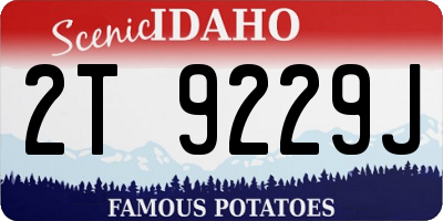 ID license plate 2T9229J
