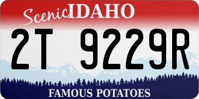 ID license plate 2T9229R