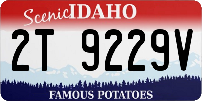ID license plate 2T9229V
