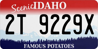 ID license plate 2T9229X