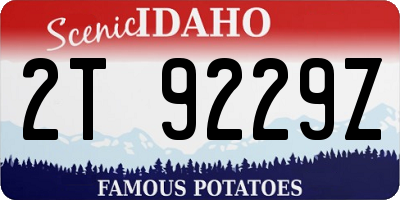 ID license plate 2T9229Z