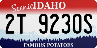 ID license plate 2T9230S