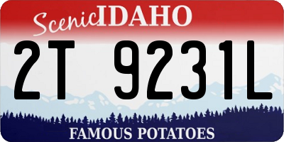 ID license plate 2T9231L