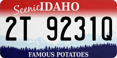 ID license plate 2T9231Q
