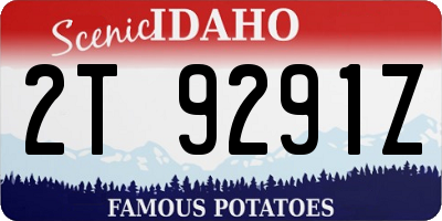 ID license plate 2T9291Z