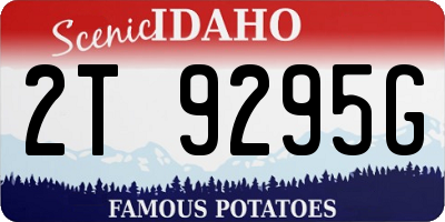 ID license plate 2T9295G