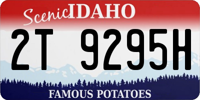 ID license plate 2T9295H