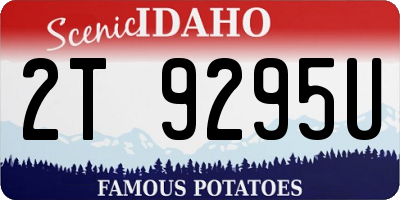 ID license plate 2T9295U