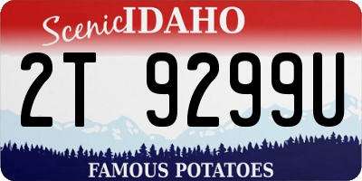 ID license plate 2T9299U