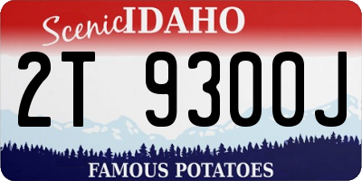 ID license plate 2T9300J
