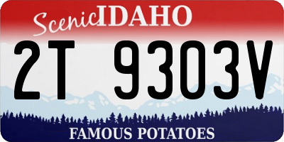 ID license plate 2T9303V