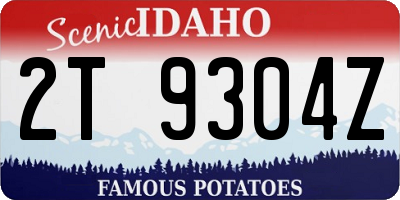 ID license plate 2T9304Z