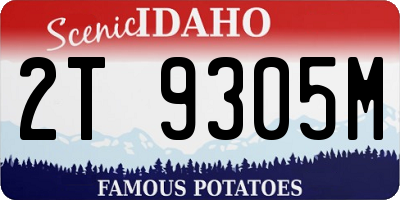 ID license plate 2T9305M