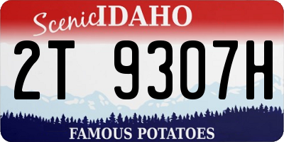 ID license plate 2T9307H