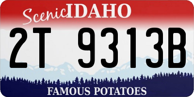 ID license plate 2T9313B