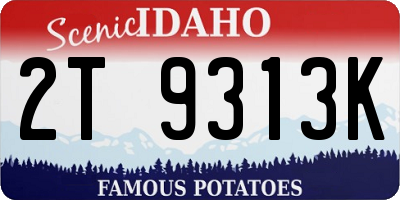 ID license plate 2T9313K