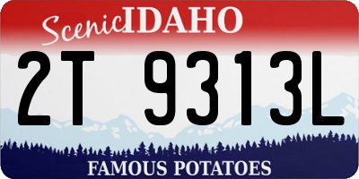 ID license plate 2T9313L
