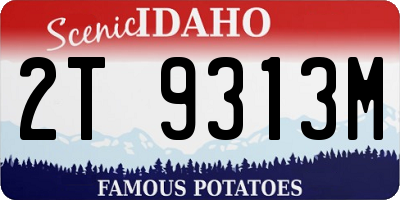 ID license plate 2T9313M