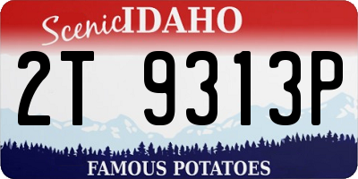ID license plate 2T9313P