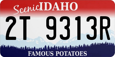 ID license plate 2T9313R