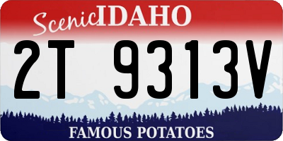 ID license plate 2T9313V