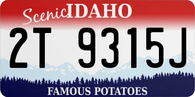 ID license plate 2T9315J