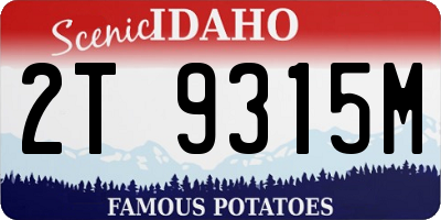 ID license plate 2T9315M