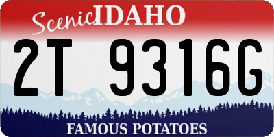 ID license plate 2T9316G