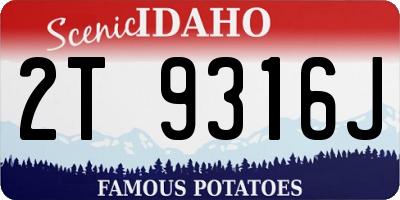 ID license plate 2T9316J