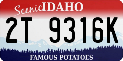 ID license plate 2T9316K