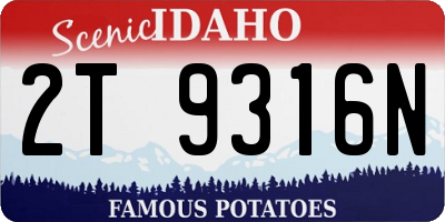 ID license plate 2T9316N