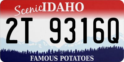 ID license plate 2T9316Q