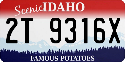 ID license plate 2T9316X