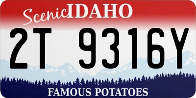 ID license plate 2T9316Y