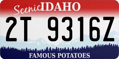 ID license plate 2T9316Z