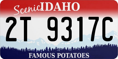 ID license plate 2T9317C