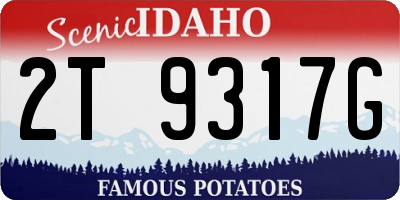 ID license plate 2T9317G
