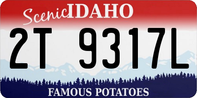 ID license plate 2T9317L
