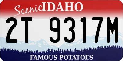 ID license plate 2T9317M