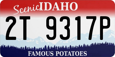 ID license plate 2T9317P