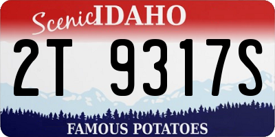 ID license plate 2T9317S