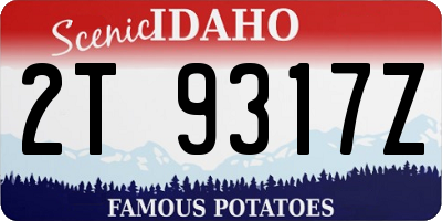 ID license plate 2T9317Z