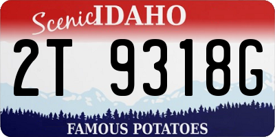ID license plate 2T9318G