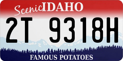 ID license plate 2T9318H