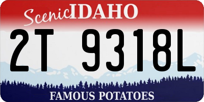 ID license plate 2T9318L