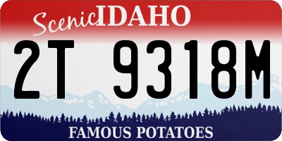 ID license plate 2T9318M