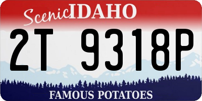 ID license plate 2T9318P